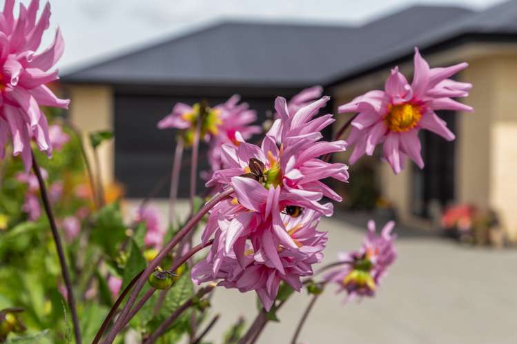 16 Broomleigh Drive Rolleston_23