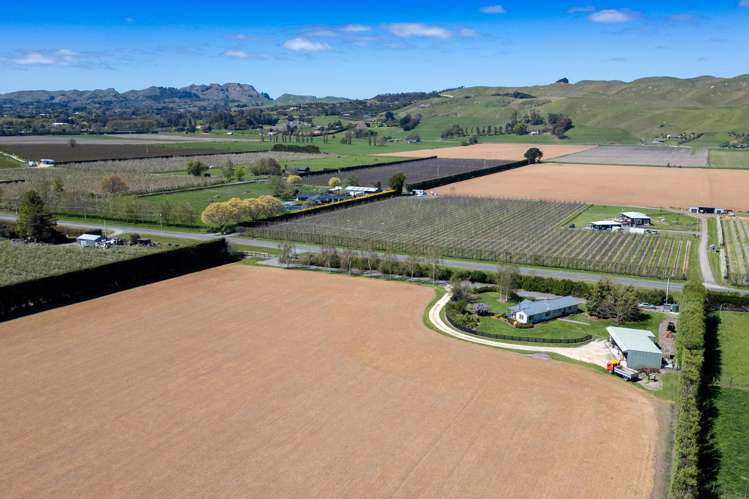 166 Mount Erin Road Pukahu_21
