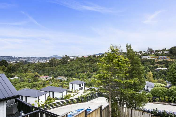 19 Brugh Place Waverley_21