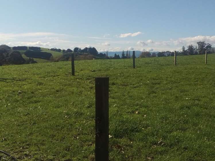 648 Scotsman Valley Road Tauwhare_5