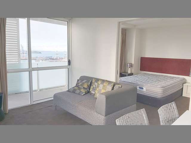 1817/10 Waterloo Quadrant Auckland Central_2