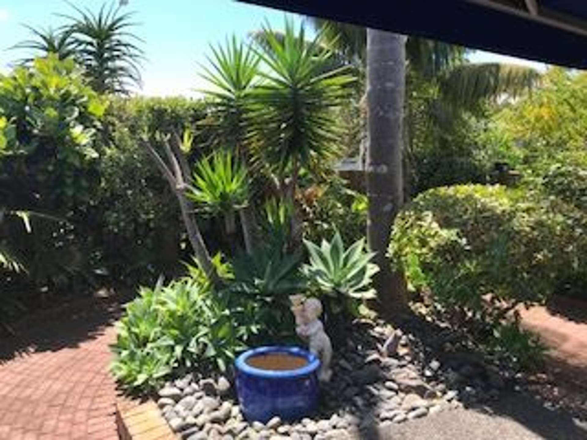 1/50 Kitchener Road Milford_0