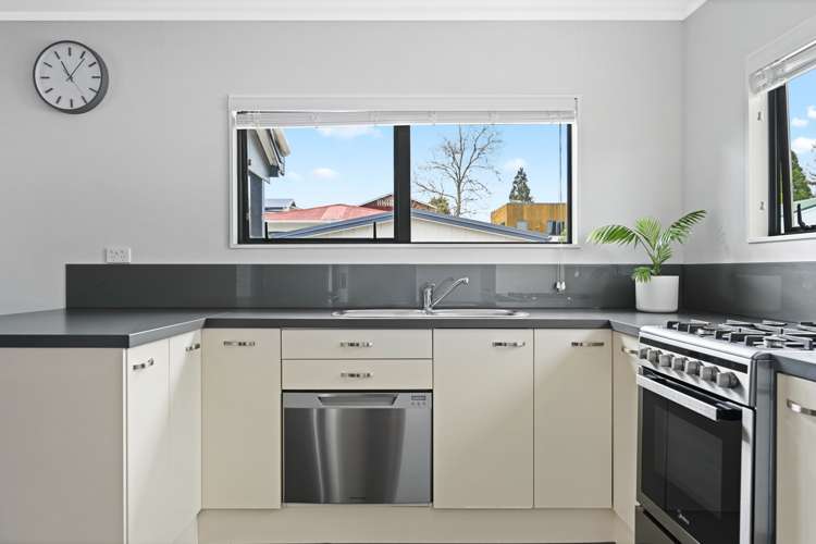 30 Graham Street Hamilton East_4