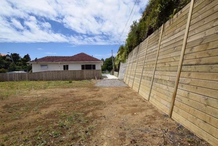 150a Brooklands Road Vogeltown_5