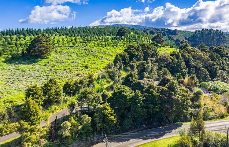 B/421 Katui Road Donnellys Crossing_31