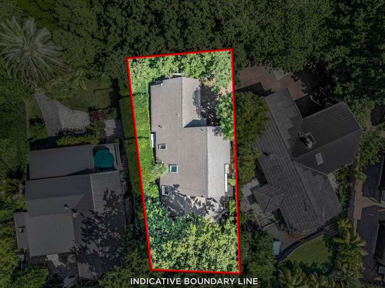 3/55 Clarendon Road St Heliers_29