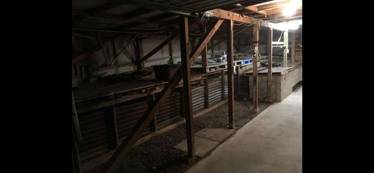 1/8 Ikatere Place Raumanga_17