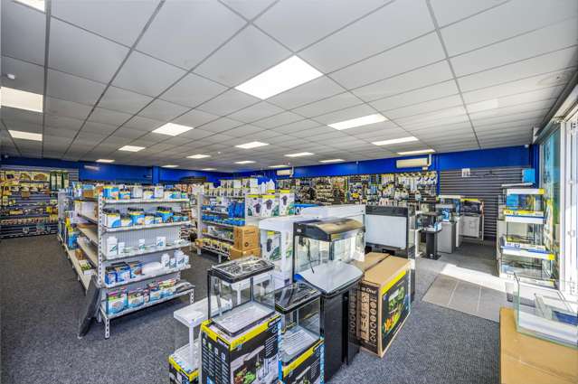 10/2 Tawa Drive Albany_4