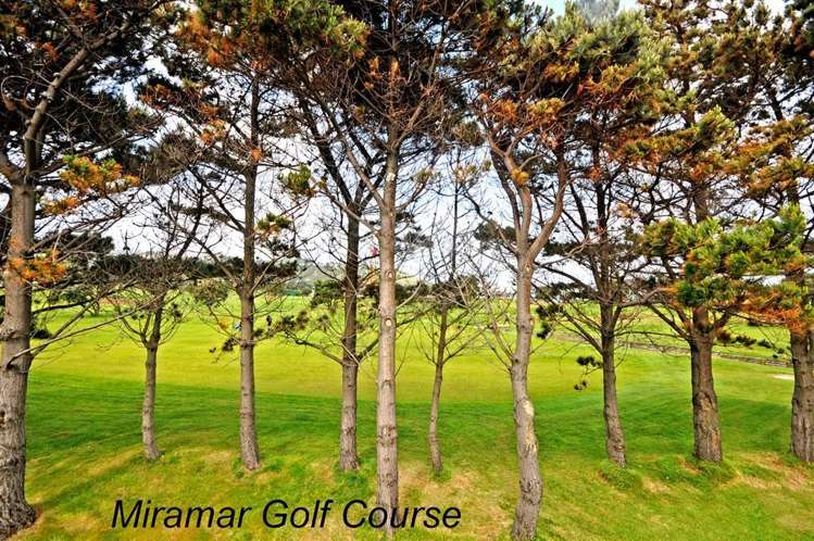 394a Broadway Miramar_12