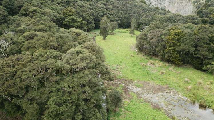 Mata Road Kohukohu_5