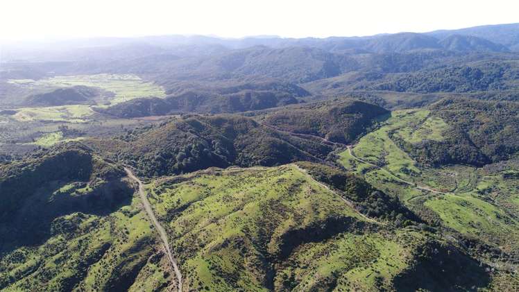 60 Snake Creek Road Kahurangi National Park_31
