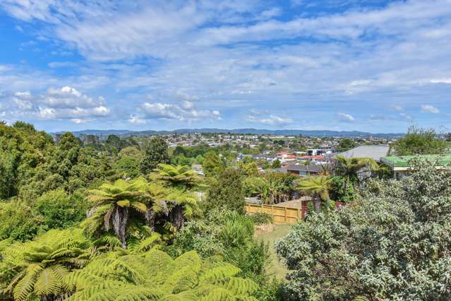 2/12 Robson Street Mount Roskill_1