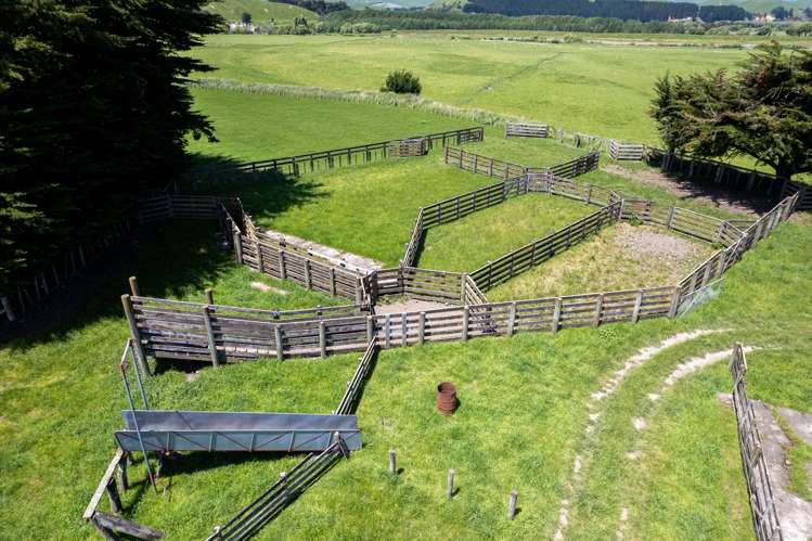 253 Oringi Road Dannevirke_8