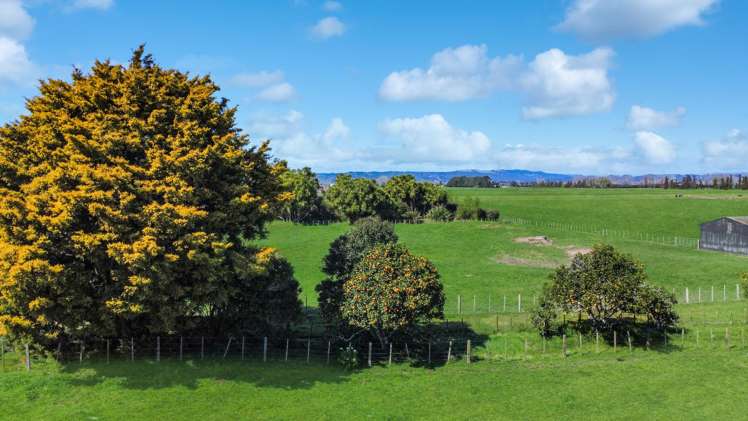 227 Thornton Road Thornton_5