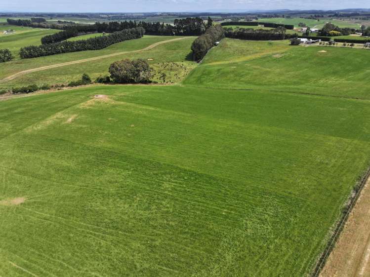 986 Downs Road South Edendale_9
