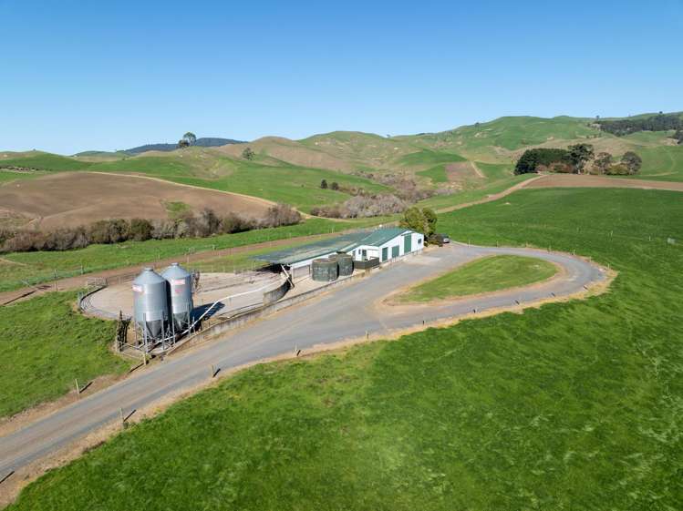 24 Waterworks Road Morrinsville_2