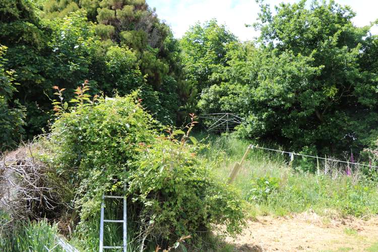 14 Rata Street Kaka Point_15