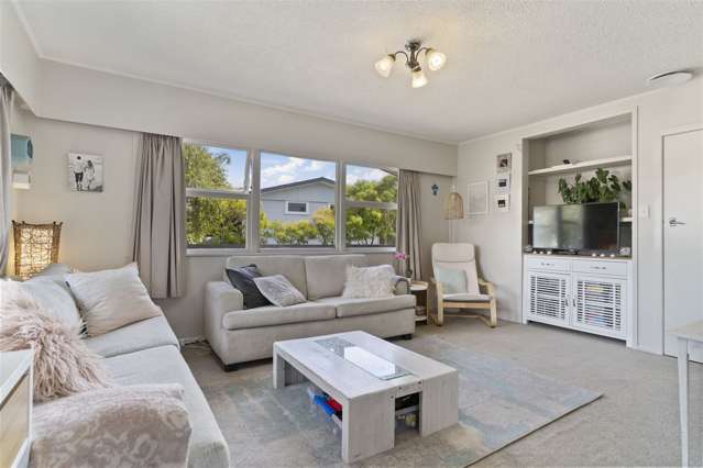 3 Carter Street Mount Maunganui_1