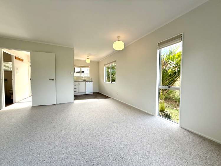 7B Rose Street Raglan_5