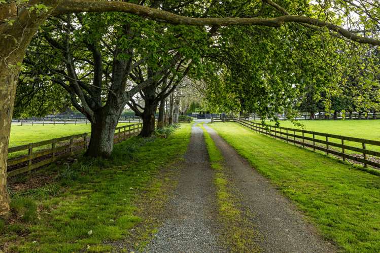 1212 Kaipaki Road Cambridge_27