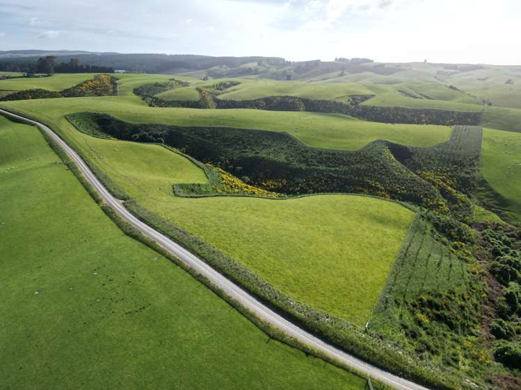 759 Waitahuna Gully Road Manuka Creek_17