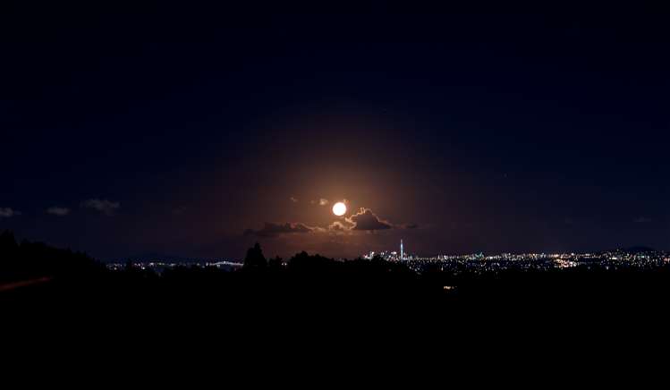 22 Kitewaho Road Swanson_7