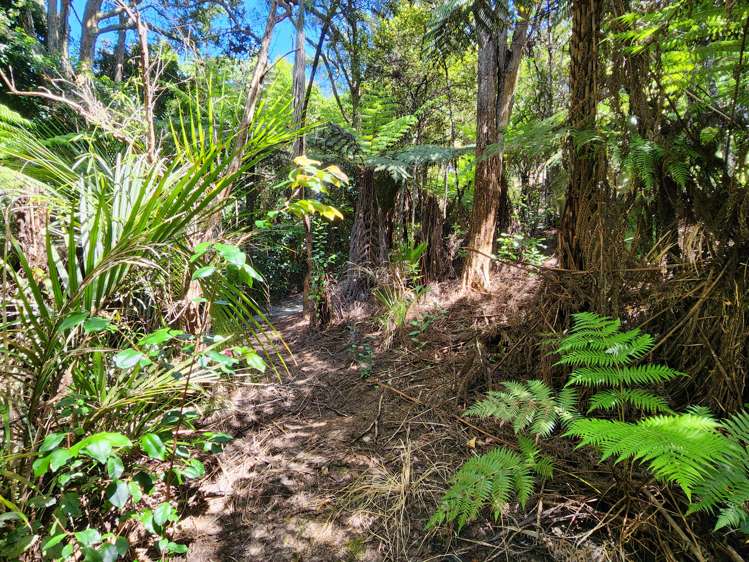 15 Mackay Lane Waipu_16