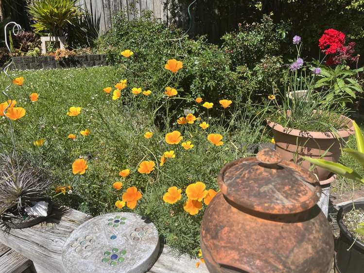 28D Zealandia Road Manly_34