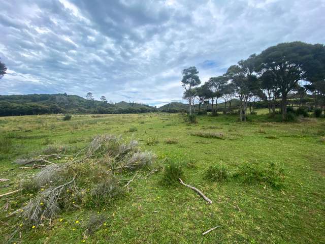 Lot 3/161 Wharariki Road Puponga_4