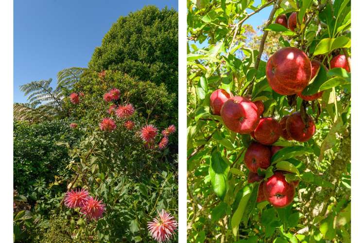 3 Phillips Drive Oropi_44