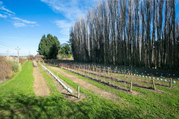 781 Outram-Mosgiel Road Mosgiel_8