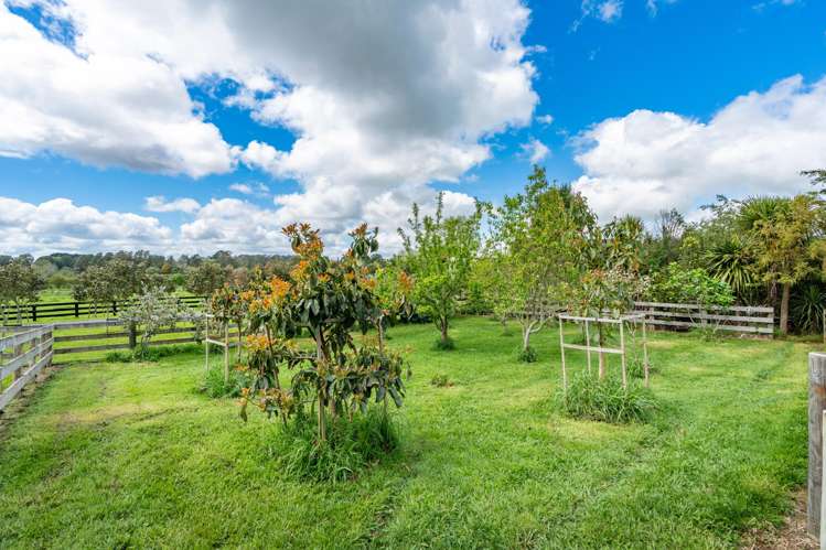 699 State Highway 23 Whatawhata_25