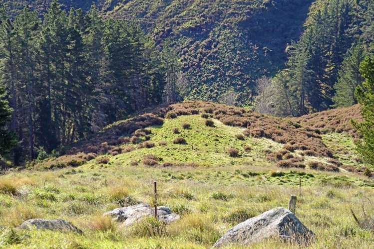 345a Worsleys Road Cracroft_11