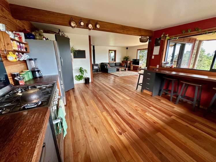 4456g Karamea Highway Karamea_5