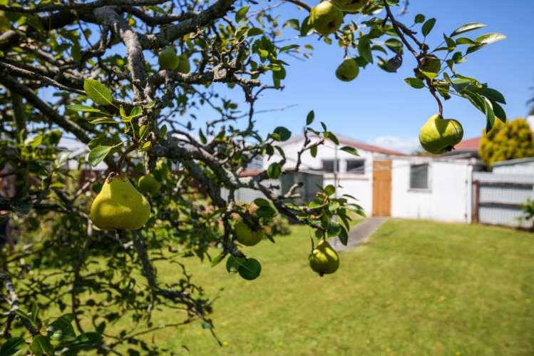 5 Belvedere Crescent Takaro_18