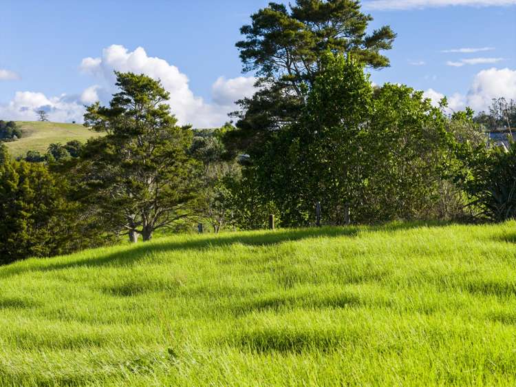 45B Finlayson Road Matarau_2