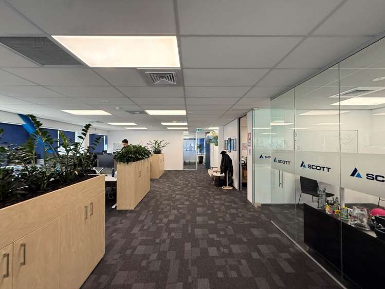 25 Teed Street Newmarket_5