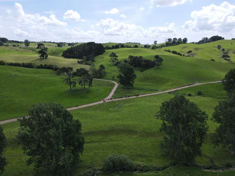 110 Stringers Road Putaruru_22