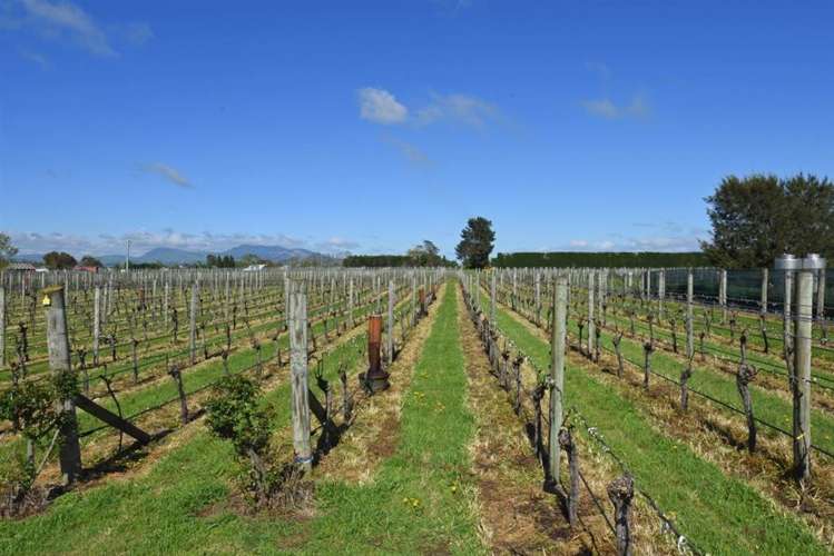 26 Huangarua Road Martinborough_16