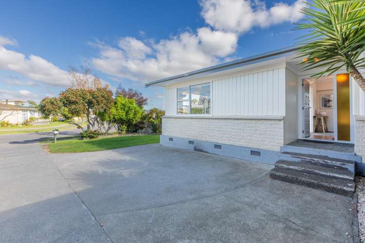 26 Skerrett Crescent Tamatea_15
