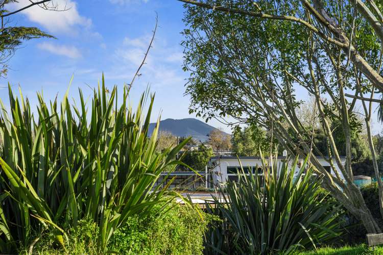 1095 Racecourse Road Te Awamutu_8