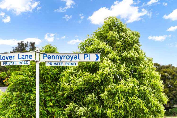 2 Pennyroyal Place Te Kamo_6