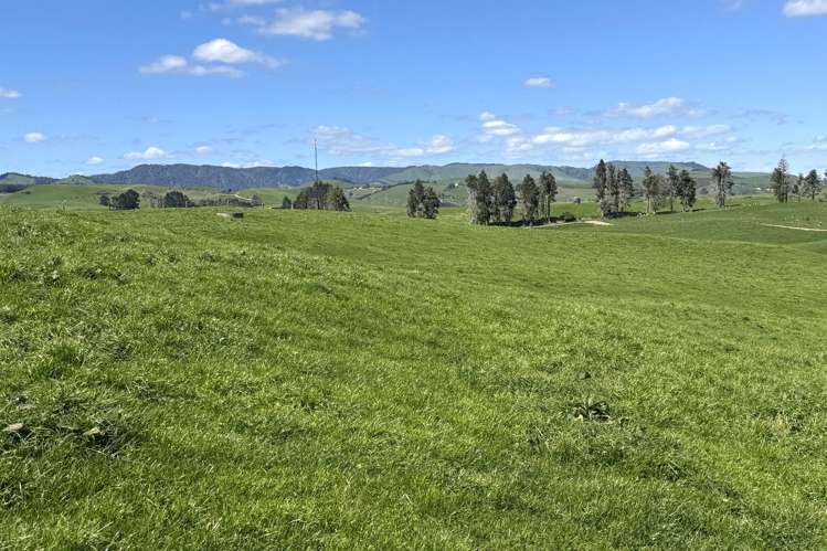 204 Mangatutu Road RD2 Maihiihi_14