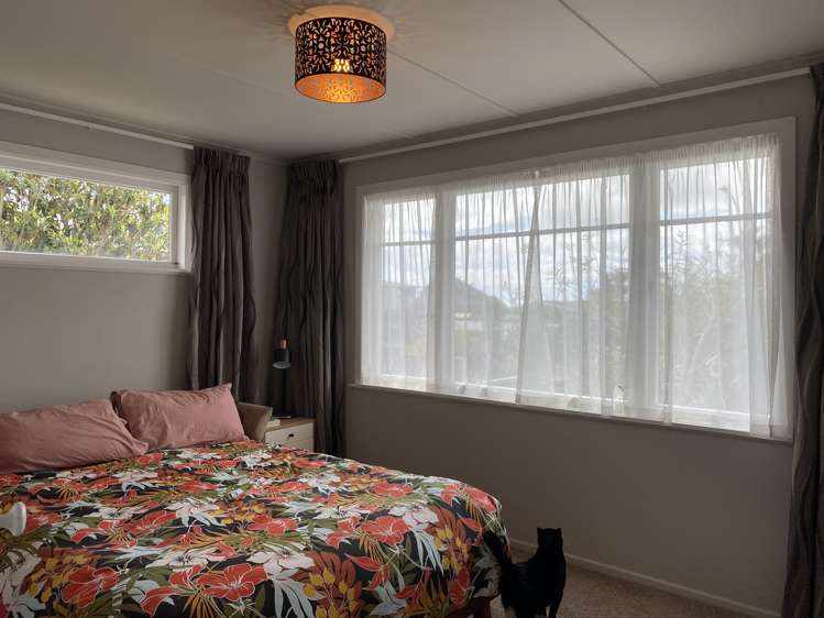 10 Vine Avenue Maungatapu_10