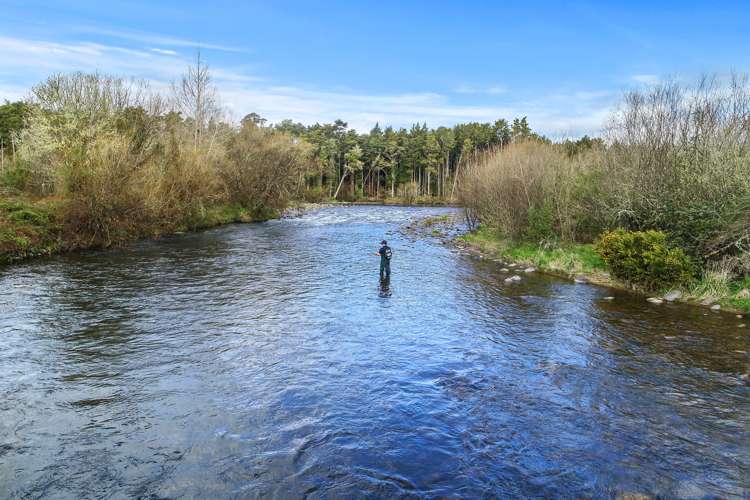 205 Te Rena Road Kakahi_6