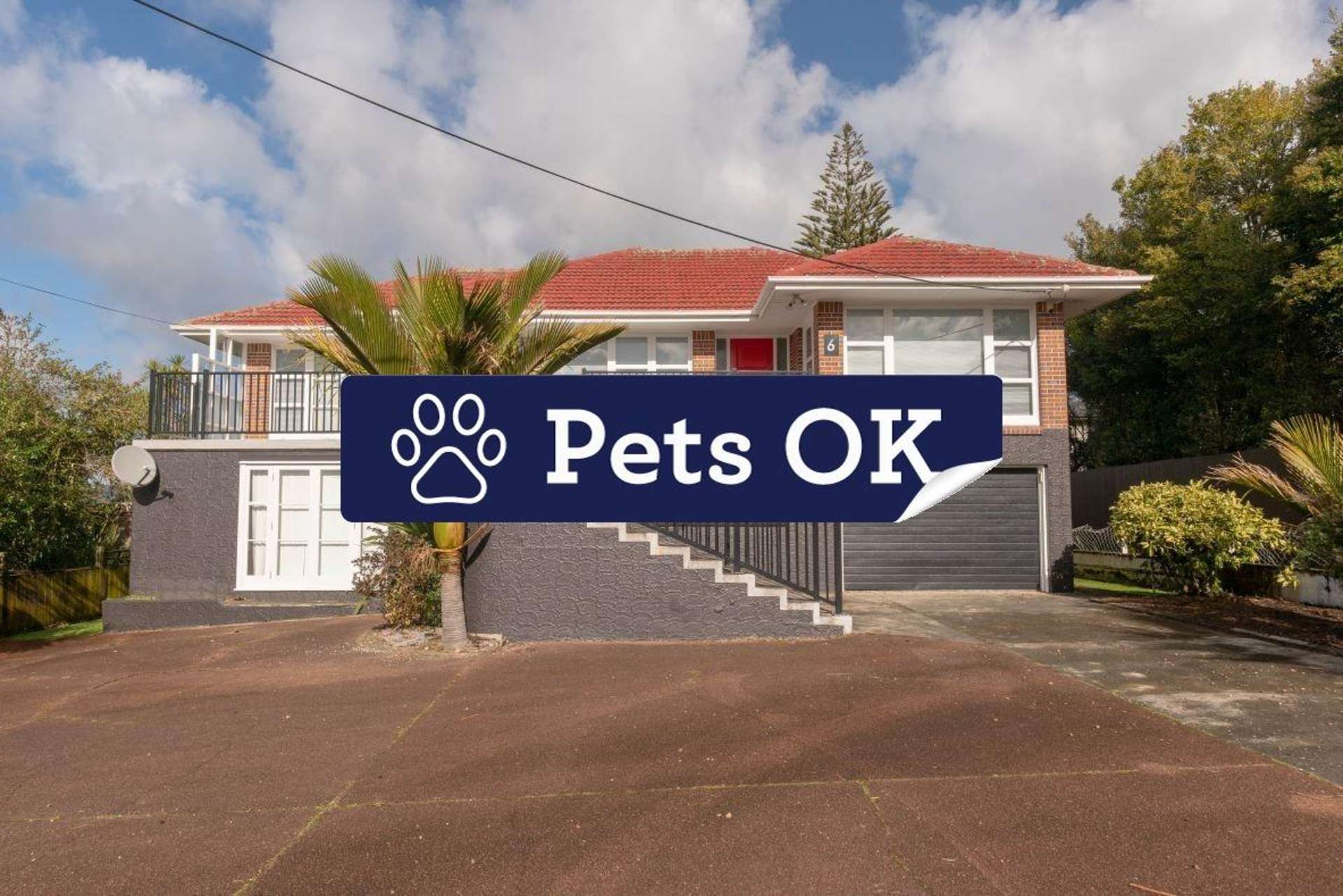 6 Swanson Road 11401_0