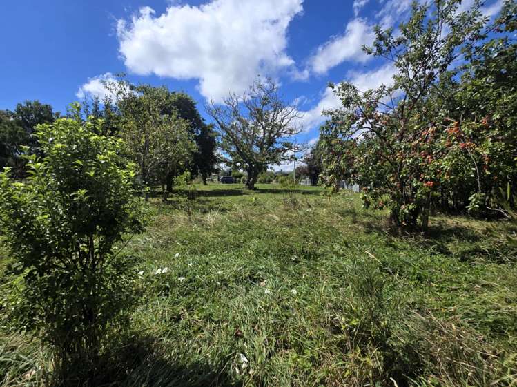 11 Alexander Street Ohingaiti_4