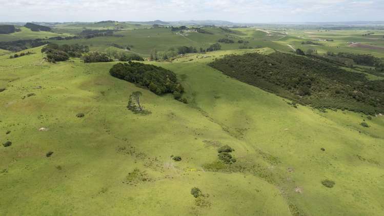 136 Simpkin Road Ruawai_11