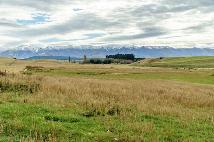 305 Bypass Road Ranfurly_23
