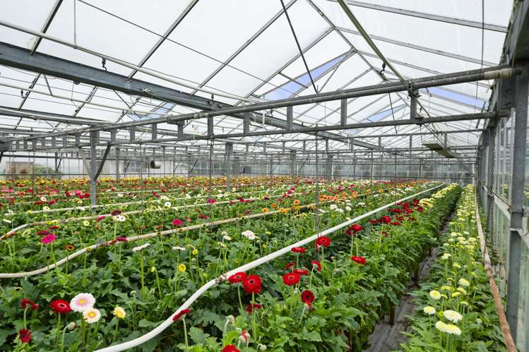 36A Horotane Valley Road Heathcote Valley_15